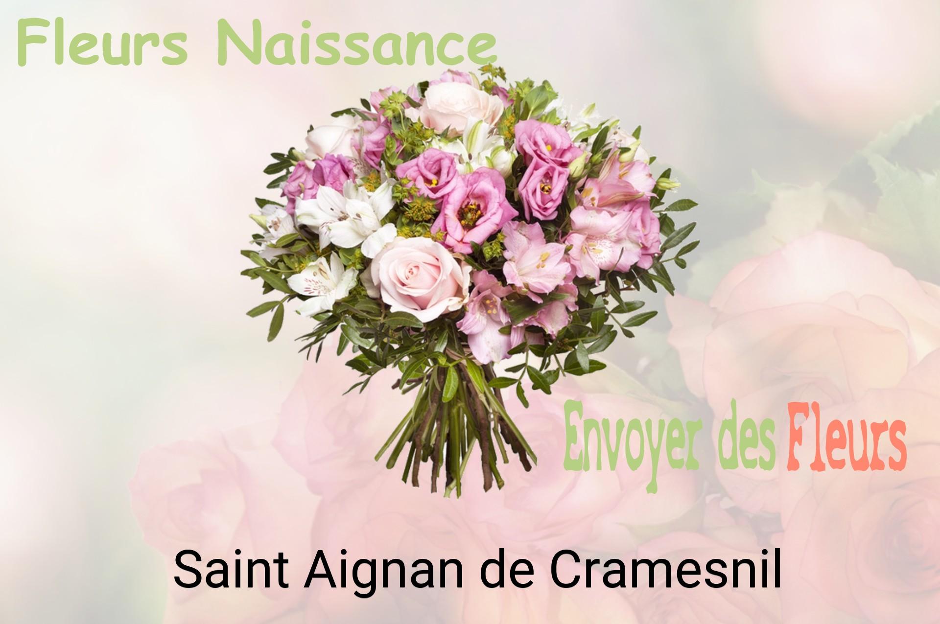 Bouquet de fleurs de naissance livré à Saint-Aignan-de-Cramesnil